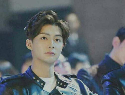 明星陈初,星光璀璨的演艺之路