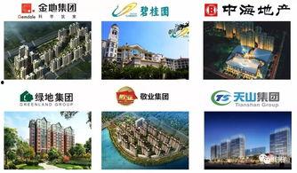 广东云浮最近今日头条,聚焦云城区最新动态，解码民生工程新进展