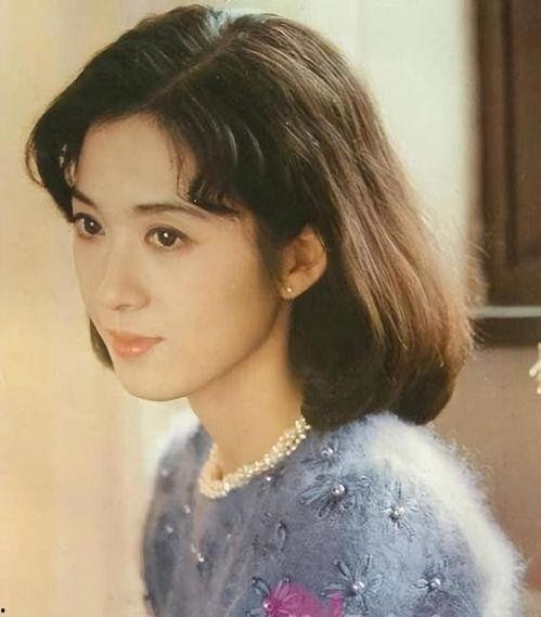 明星明星回族,探寻明星背后的回族文化底蕴