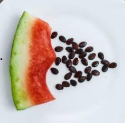 吃瓜吃籽,探寻吃瓜文化的魅力与传承