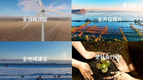 海边网红歌曲60秒视频,网红歌曲60秒视频带你领略海边风情