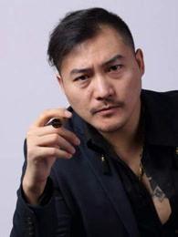 张超男明星,星光璀璨的演艺之路与魅力人生