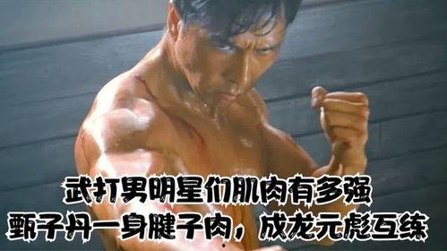 老男武打明星,老男武打明星的传奇归来