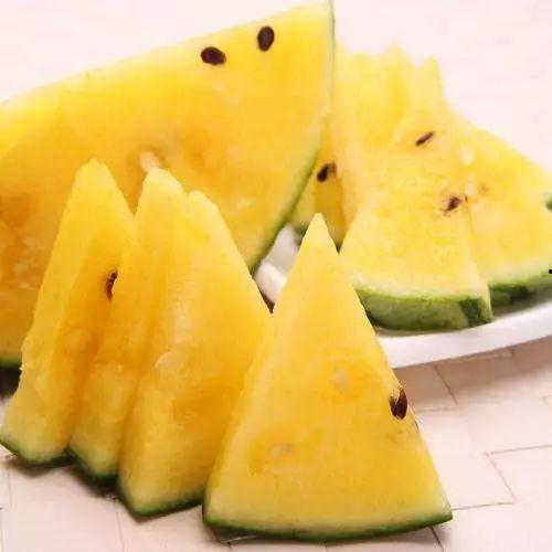 喵喵瓜瓜吃瓜,揭秘娱乐圈那些事儿