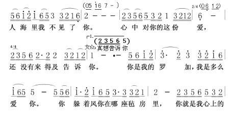 网红歌曲美美哒简谱歌词,探寻网红神曲的魅力之源