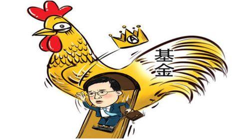 网红基金如何管理分红,网红基金分红管理策略解析