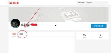 怎么看头条收藏多少,数字背后的影响力解析