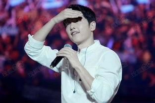 香港明星横琴,璀璨星光下的新篇章