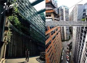 不用滤镜的网红城市视频