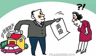 头条夫妻共同财产,携手共筑幸福基石