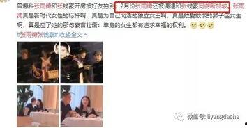 猴哥前夫爆料视频,一段尘封的婚姻真相