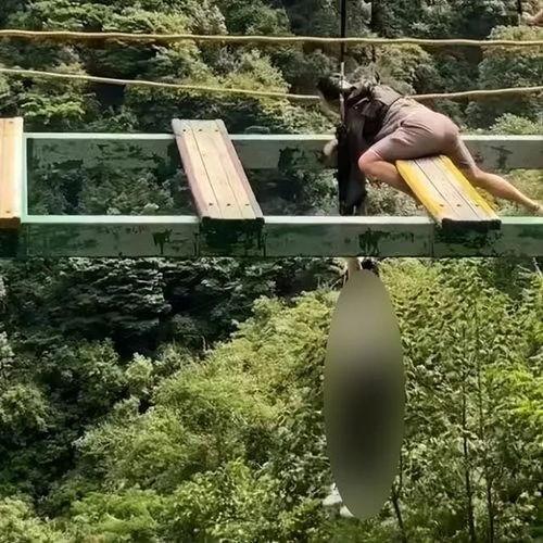 网红步步惊心桥宣传,网红打卡新地标，穿越时空的浪漫之旅