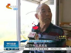 井陉最新爆料视频,揭秘神秘事件背后的真相